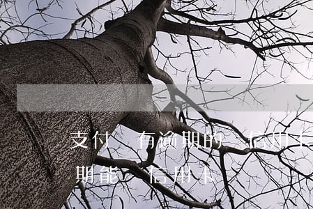 支付寶有逾期的辦信用卡可以辦嗎(支付寶逾期能辦信用卡嗎)