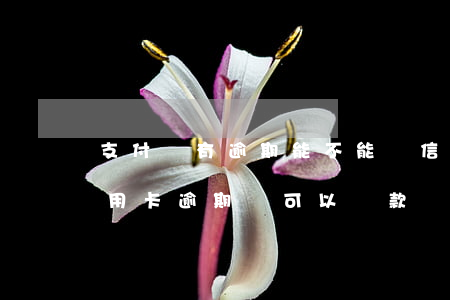 支付寶有逾期能不能辦信用卡(支付寶逾期信用卡逾期還可以貸款嗎?)