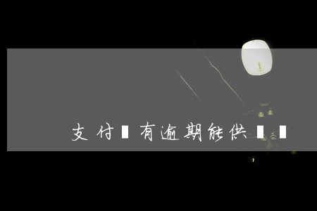 支付寶有逾期能供車嗎