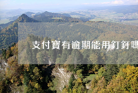 支付寶有逾期能用釘釘嗎(支付寶逾期違法嗎)