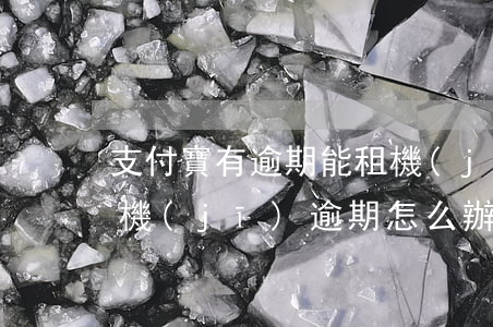 支付寶有逾期能租機(jī)嗎-支付寶租機(jī)逾期怎么辦