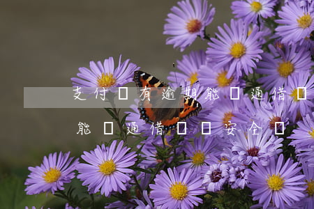支付寶有逾期能開通借唄嗎-支付寶有逾期能開通借唄嗎安全嗎