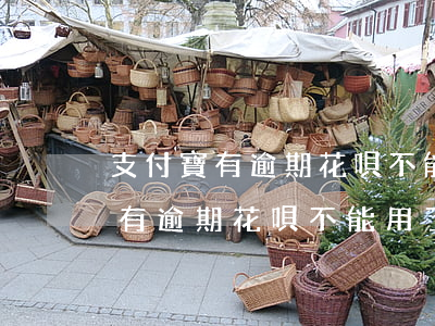 支付寶有逾期花唄不能用了怎么辦-支付寶有逾期花唄不能用了怎么辦理