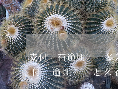 支付寶有逾期記錄多久評(píng)估(支付寶逾期記錄怎么看)