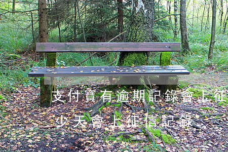 支付寶有逾期記錄會上征信嗎(支付寶逾期多少天會上征信記錄)