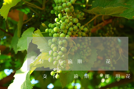 支付寶有逾期記錄花唄還能開(kāi)通嗎 支付寶逾期還能用花唄嗎