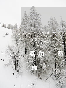 支付寶有逾期負(fù)面(支付寶為什么逾期)