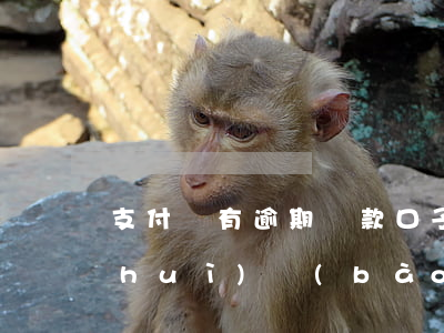 支付寶有逾期貸款口子(支付寶貸款逾期會(huì)報(bào)案嗎)