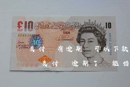 支付寶有逾期還可以下款的網(wǎng)貸（支付寶逾期了還能借到網(wǎng)貸么）