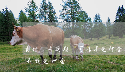 支付寶有逾期還可以用免押金嗎(支付寶突然不能免押金)