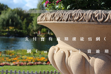 支付寶有逾期還能借網(wǎng)貸(別的網(wǎng)貸逾期了支付寶還能正常借錢嗎)