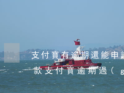 支付寶有逾期還能申請(qǐng)什么貸款(支付寶逾期過(guò)能貸款嗎)