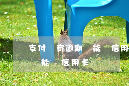 支付寶有逾期還能辦信用卡嗎(支付寶有逾期還能辦信用卡嗎)