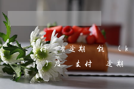 支付寶有逾期還能開(kāi)網(wǎng)店嗎(支付寶逾期從新開(kāi)一個(gè)支付寶可以嗎)