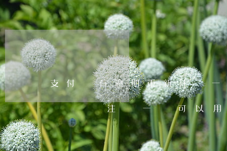 支付寶有逾期重新注冊一個號 支付寶逾期了,換號碼注冊一個可以用嗎?