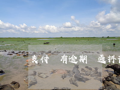 支付寶有逾期開通抖音聚合 抖音解除支付寶