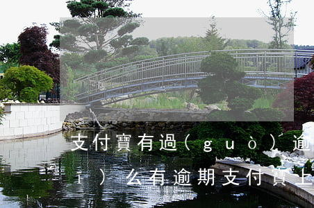 支付寶有過(guò)逾期還能租手機(jī)么(有逾期支付寶上能租手機(jī)嗎)