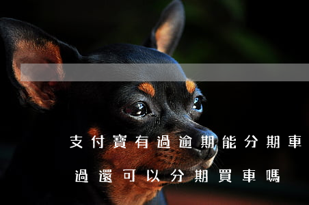支付寶有過逾期能分期車嗎(支付寶花唄逾期過還可以分期買車嗎)