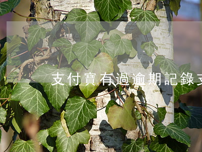 支付寶有過逾期記錄(支付寶有過逾期記錄)