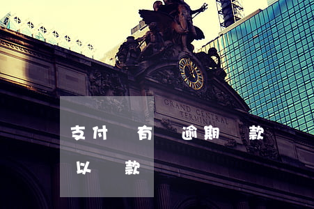 支付寶有過逾期貸款買車嗎(支付寶逾期了可以貸款買車嗎)