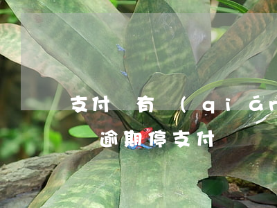 支付寶有錢(qián)花拍拍貸逾期 拍拍貸逾期停支付寶