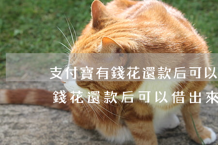 支付寶有錢花還款后可以借出來-支付寶有錢花還款后可以借出來嗎