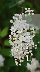 支付寶有高的逾期會(huì)限制芝麻分嗎-支付寶逾期會(huì)被限制高消費(fèi)么
