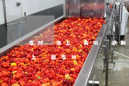 支付寶未上傳身份證逾期-支付寶身份證未上傳能支付嗎