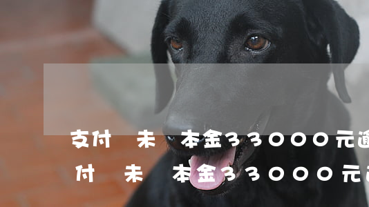 支付寶未還本金33000元逾期7月-支付寶未還本金33000元逾期7月怎么辦