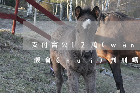 支付寶欠12萬(wàn)無(wú)力償還會(huì)判刑嗎-支付寶欠12萬(wàn)無(wú)力償還會(huì)判刑嗎?