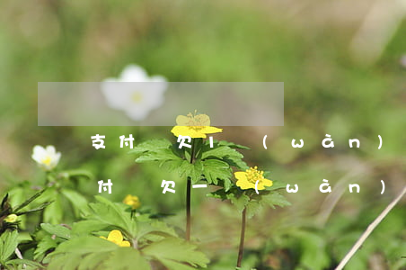 支付寶欠1萬(wàn)6逾期快一年了(支付寶欠一萬(wàn)多逾期)