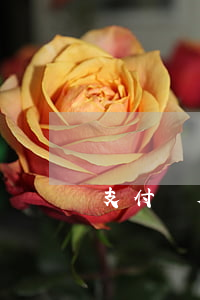 支付寶欠200會起訴(支付寶欠200會起訴)