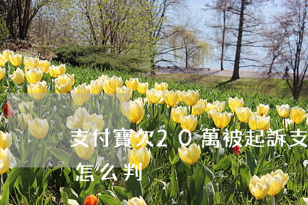 支付寶欠20萬被起訴(支付寶欠20萬法院怎么判)