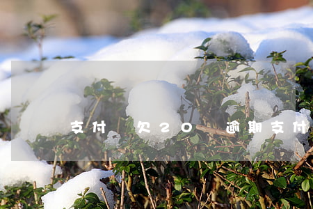 支付寶欠20萬逾期（支付寶欠二十幾萬逾期）