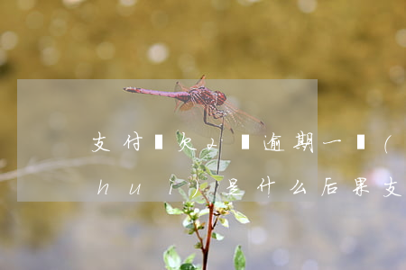 支付寶欠2萬逾期一個(gè)多月了,會(huì)是什么后果（支付寶一萬多逾期3個(gè)月了）