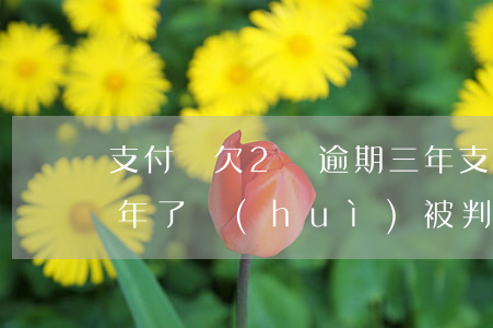 支付寶欠2萬逾期三年(支付寶欠兩萬逾期一年了會(huì)被判刑嗎)