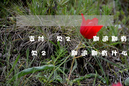 支付寶欠2萬長期逾期有什么影響-支付寶欠2萬長期逾期有什么影響嗎
