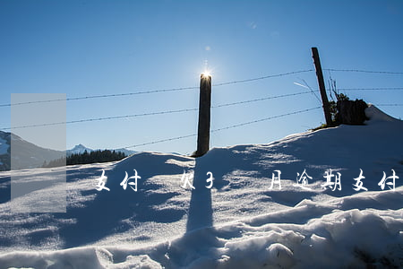 支付寶欠3個月逾期(支付寶欠2萬逾期3年)