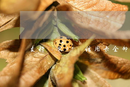 支付寶欠4萬信用卡全部逾期