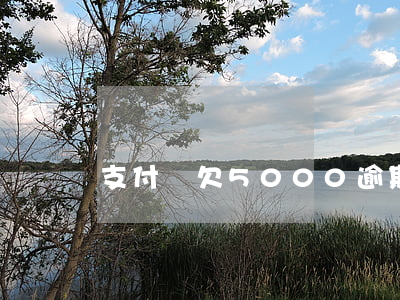 支付寶欠5000逾期半年