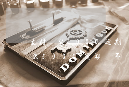 支付寶欠5000逾期會不會起訴-支付寶欠5000逾期會不會起訴我