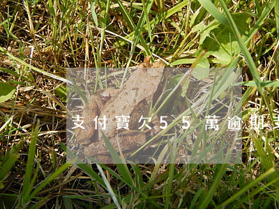 支付寶欠55萬逾期(支付寶5萬逾期后果)