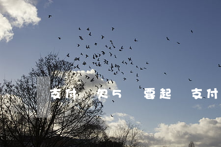 支付寶欠5萬要起訴(支付寶欠5萬要起訴)