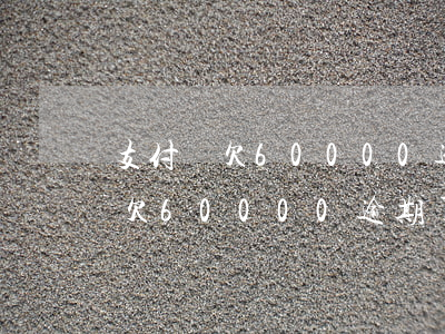 支付寶欠60000逾期了怎么辦-支付寶欠60000逾期了怎么辦呢