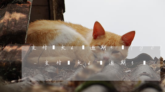 支付寶欠6萬逾期3個(gè)月被起訴了-支付寶欠6萬逾期3個(gè)月被起訴了怎么辦