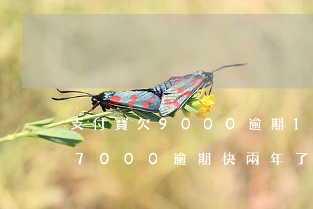 支付寶欠9000逾期1年多了(支付寶欠了7000逾期快兩年了)