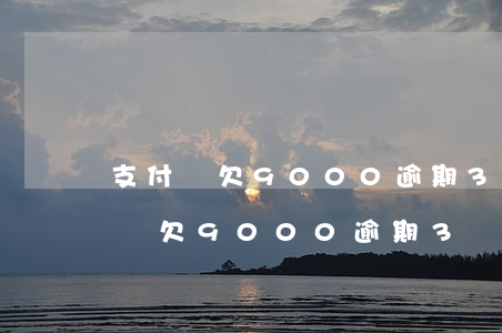 支付寶欠9000逾期3個(gè)月(支付寶欠9000逾期3個(gè)月)