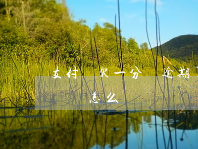 支付寶欠一分錢逾期了(支付寶逾期一下子沒錢還怎么辦)