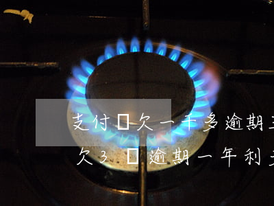 支付寶欠一千多逾期三個(gè)月（支付寶欠3萬逾期一年利多少）