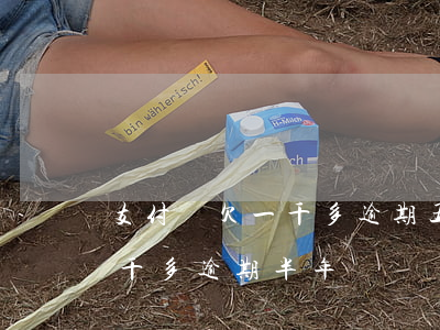 支付寶欠一千多逾期五個月了-支付寶欠2千多逾期半年
